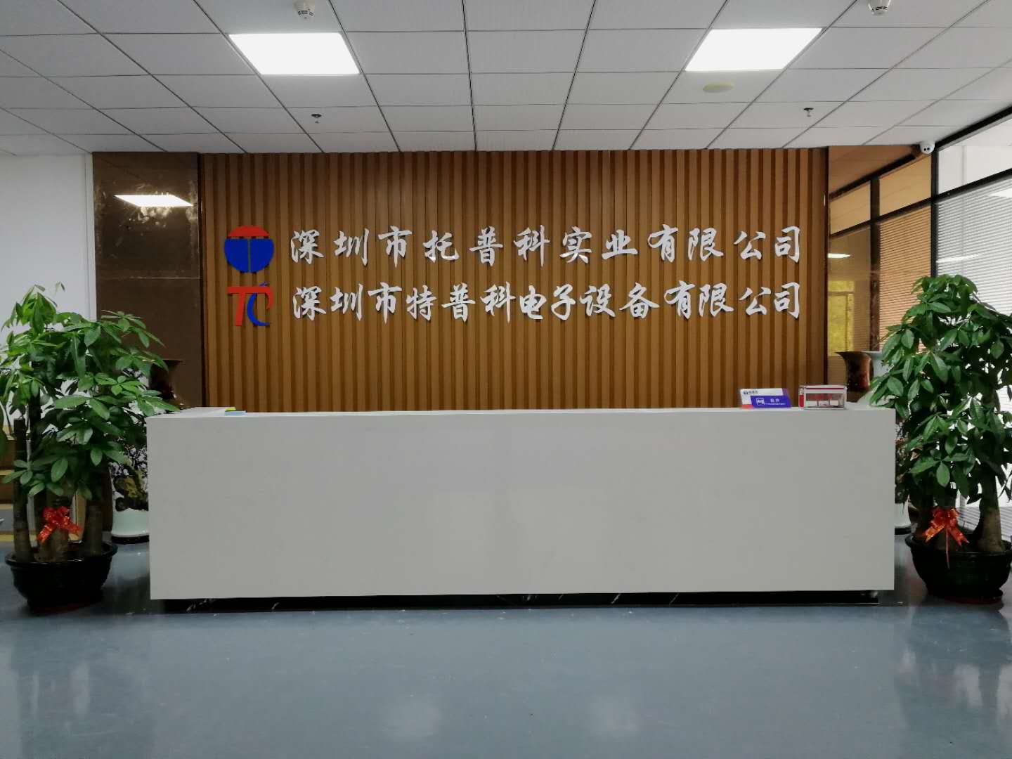 午夜精品无码科