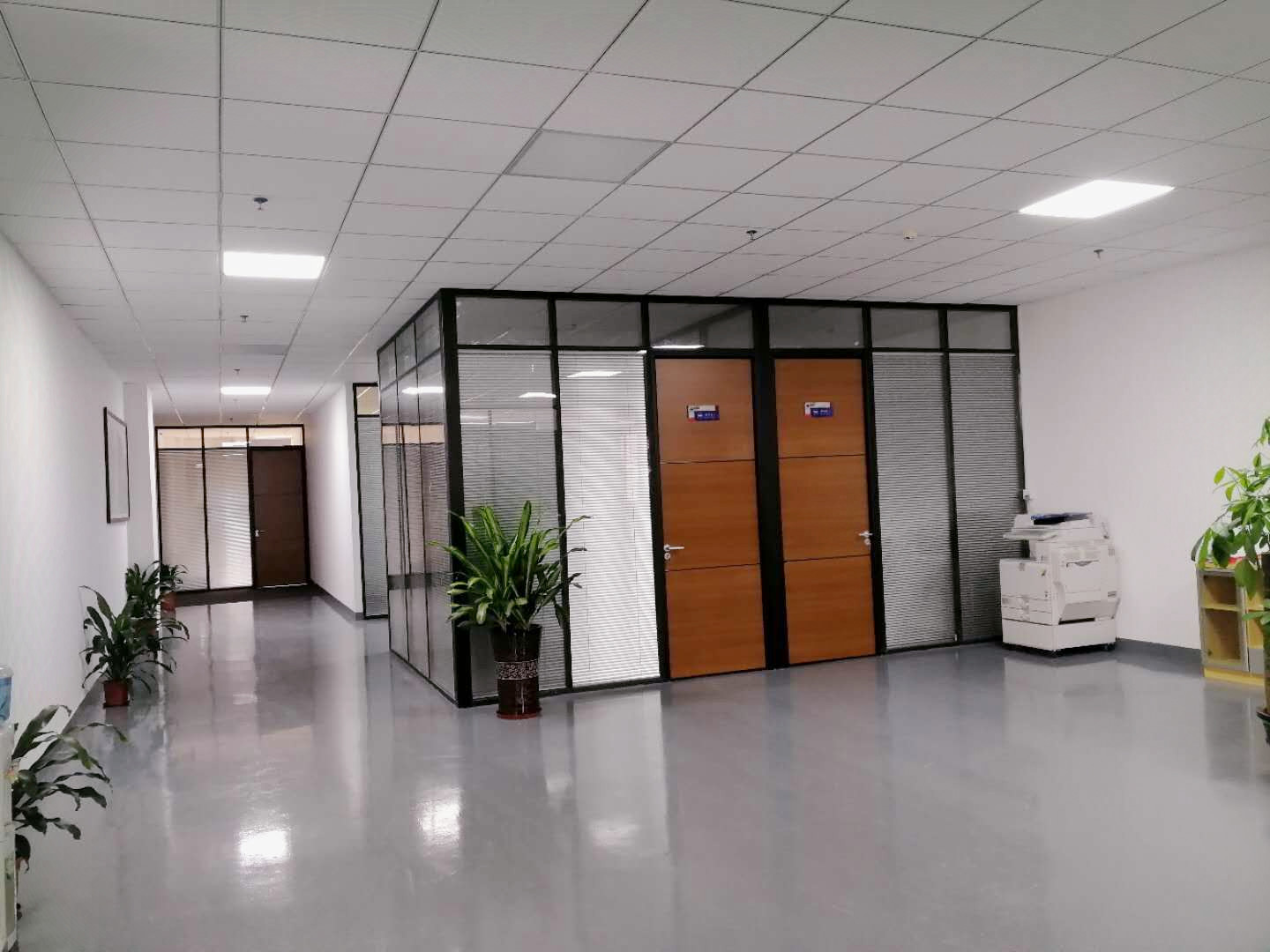 午夜精品无码科