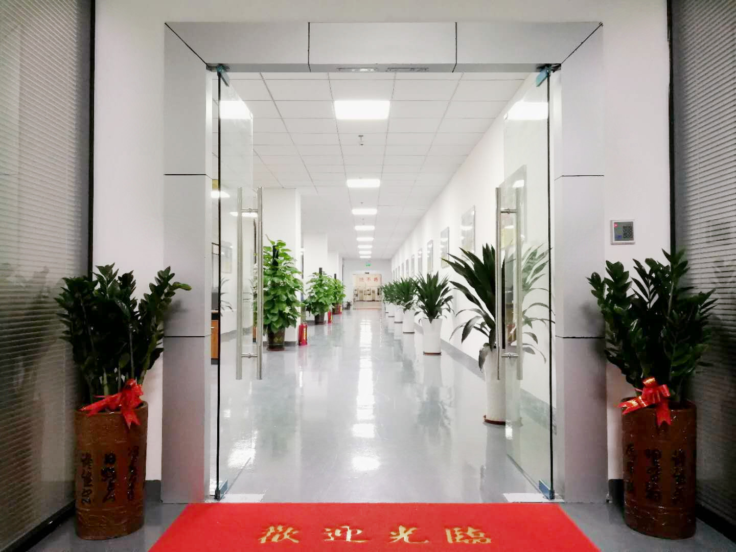 午夜精品无码科