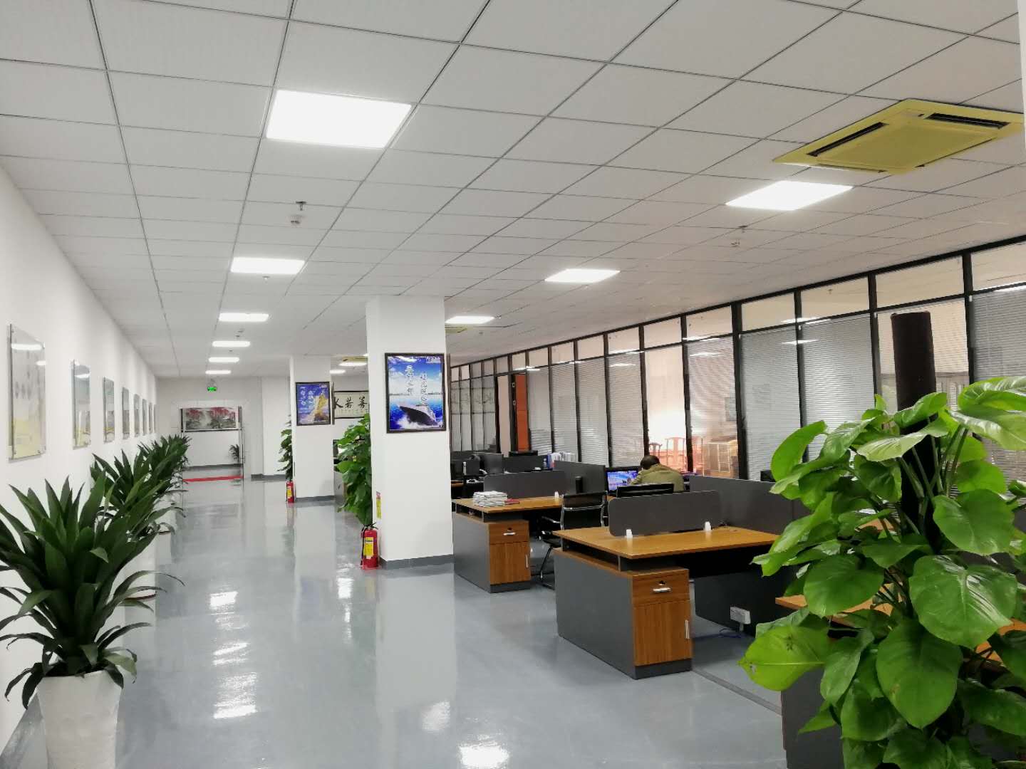 午夜精品无码科