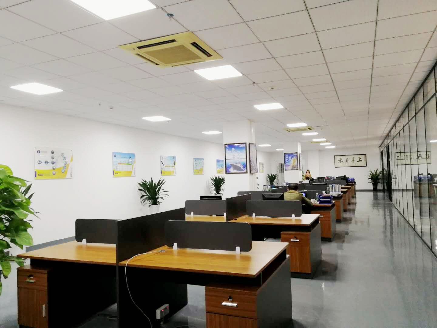 午夜精品无码科